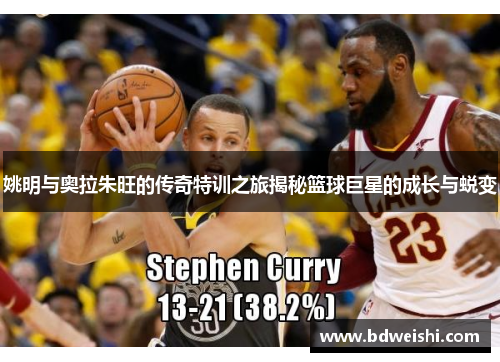 姚明与奥拉朱旺的传奇特训之旅揭秘篮球巨星的成长与蜕变